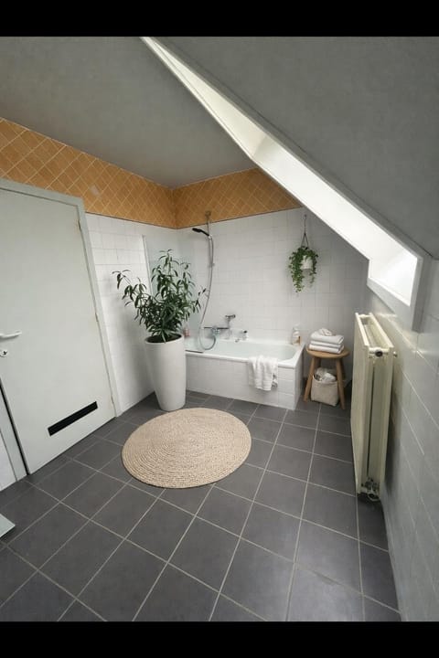 Tomorrowland 2026 Rooftop-Fireworks View Apartment in Flanders