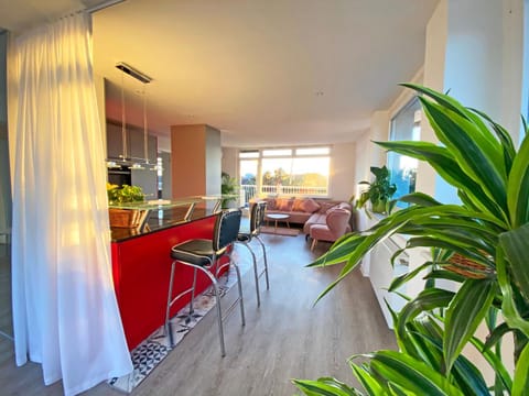 Living room, kitchen