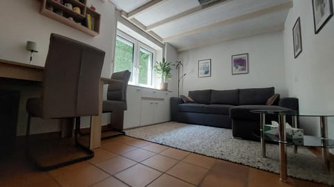 Casa celeste, stanza in appartamento condiviso Vacation rental in Locarno