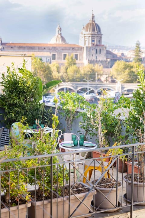 Day, Garden, Garden view