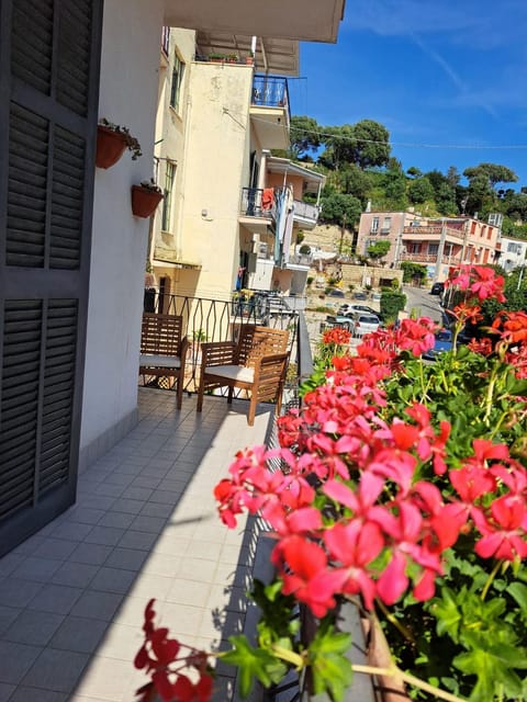 Property building, Balcony/Terrace