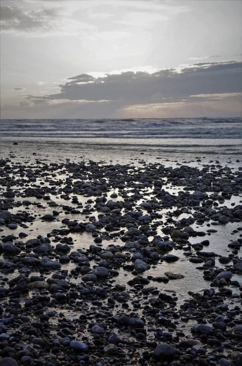 Le Bateau Bleu avec vue sur mer Apartment in Criel-sur-Mer