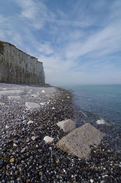 Le Bateau Bleu avec vue sur mer Apartment in Criel-sur-Mer