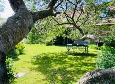 Magnifique longère au cœur de Trégastel House in Trégastel