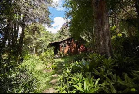 Cabana Santa Premium Chalet in Santa Teresa