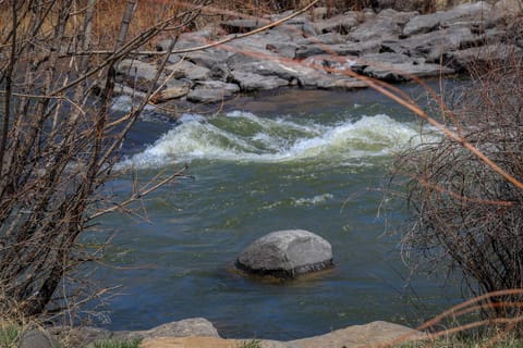 10 Cobblestone Ln House in Pagosa Springs