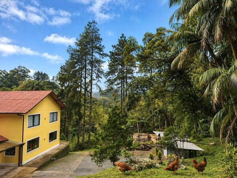 Property building, Natural landscape, Garden, Garden view