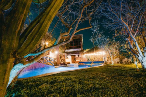 Garden, Pool view, Swimming pool