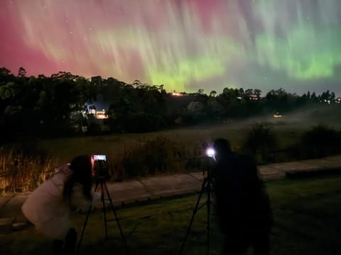 Sunlit Sanctuary at Kingston House in Tasmania