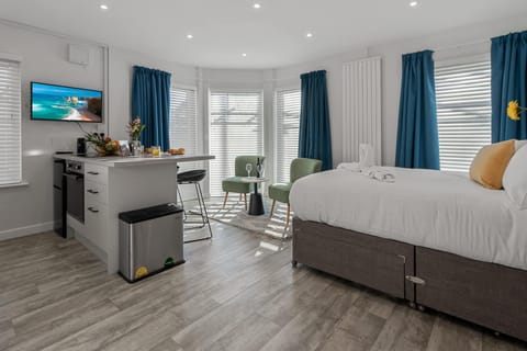Bed, TV and multimedia, Kitchen or kitchenette, Living room, Decorative detail, Decorative detail, Seating area, Bedroom, internet, internet