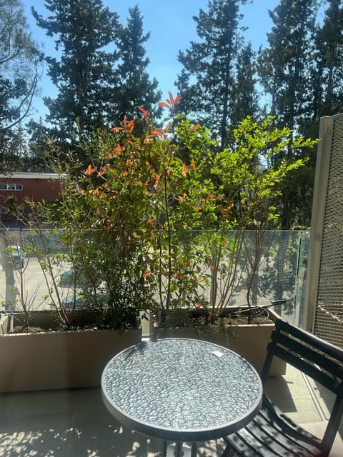 Cassino - Appartamento Demetra - Parco del Gari Apartment in Cassino