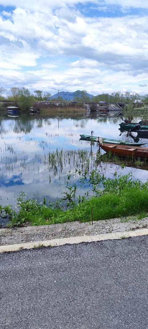 Natural landscape, Lake view, River view