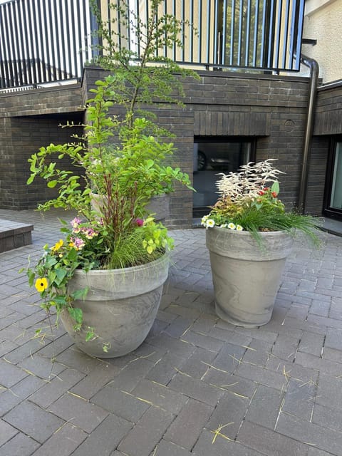 Property building, Landmark view