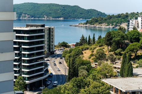 Twin Towers By In Property Apartment in Budva Municipality