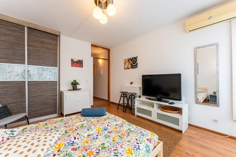 Bed, TV and multimedia, Photo of the whole room, Seating area, Bedroom, Family, heating, internet, wardrobe, air conditioner