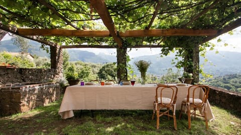 Villa Dori House in Camaiore