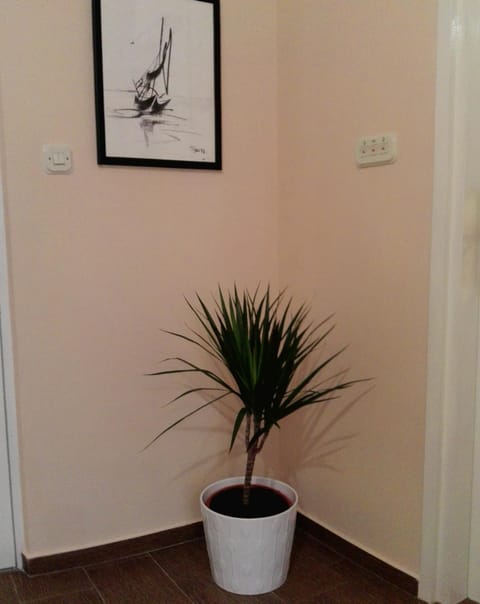 Kolombo Apartment Apartment in Šibenik