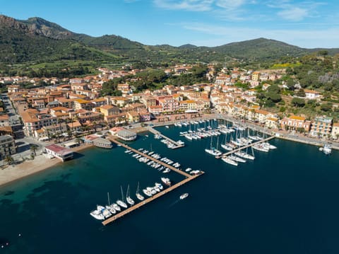 Neighbourhood, Bird's eye view, Area and facilities, Shopping Area