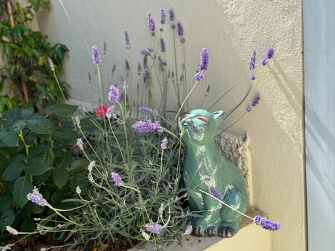 Garden, Decorative detail, Garden view