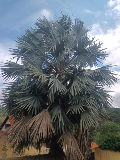 Quarto confortável Vacation rental in Miguel Pereira