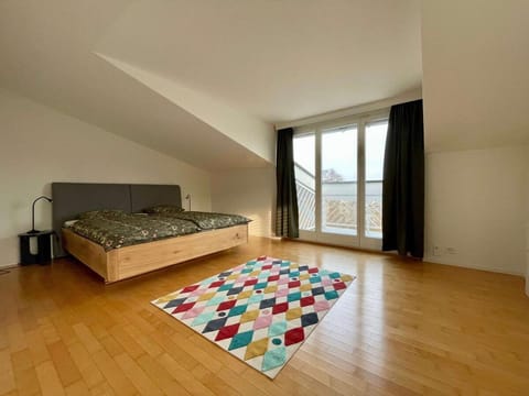 Spacious house with partial lake view House in Lucerne