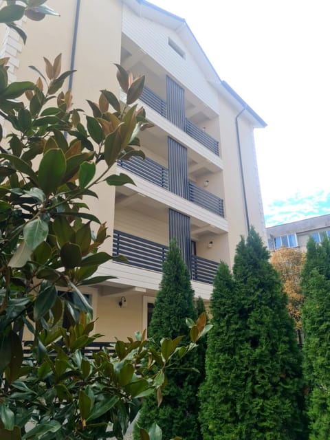 Property building, Day