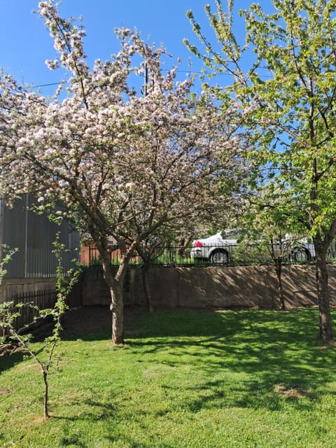 Apartman Arija Apartment in Montenegro