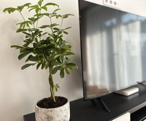 Lazdyneliu Vingis Vilnius "Good Choice" Apartment - Self check-in Apartment in Vilnius