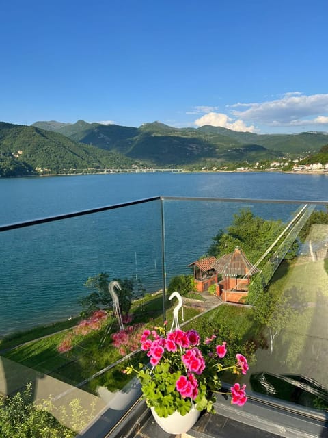 Lake view