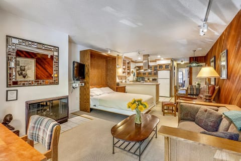 Vintage Aspen Core Condo - Prime Downtown Location Apartment in Aspen