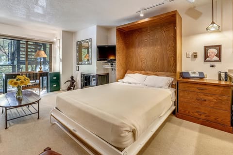 Vintage Aspen Core Condo - Prime Downtown Location Apartment in Aspen