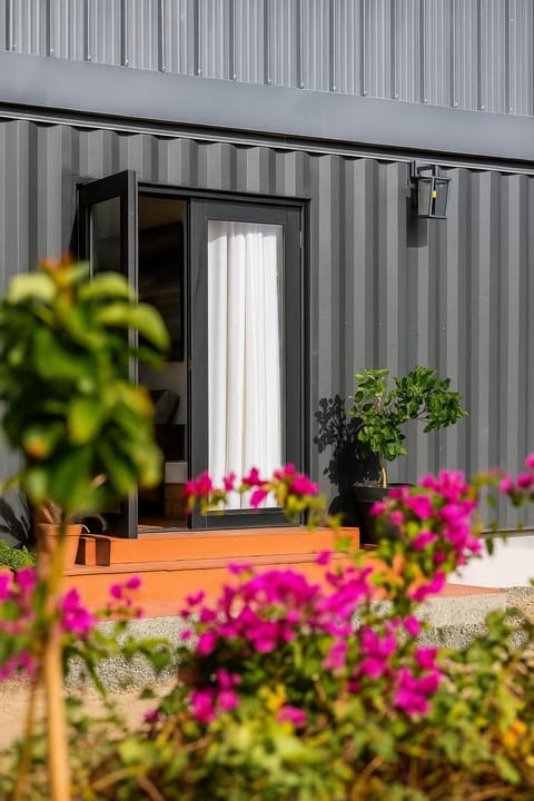 Property building, Garden, Garden view