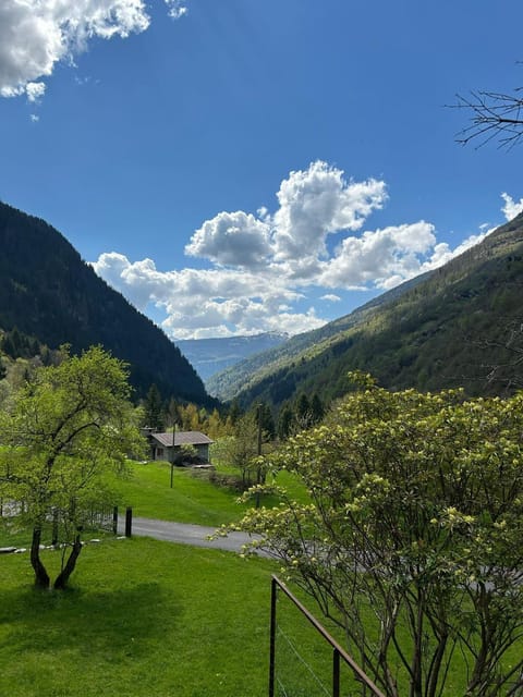 Spring, Natural landscape, Mountain view