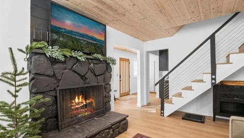 Newly Renovated Villa 6 Beds Fenced-in Backyard House in Big Bear
