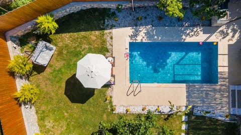 Patio, Day, Garden, Garden, Garden view, Pool view, Swimming pool, Swimming pool, sunbed