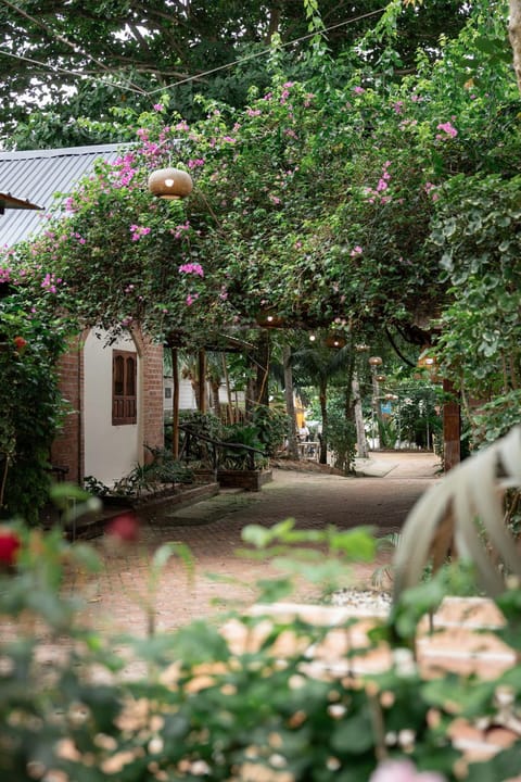 Spring, Day, Natural landscape, Garden, Garden view, Inner courtyard view