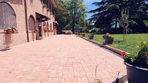 Day, Garden, Garden view