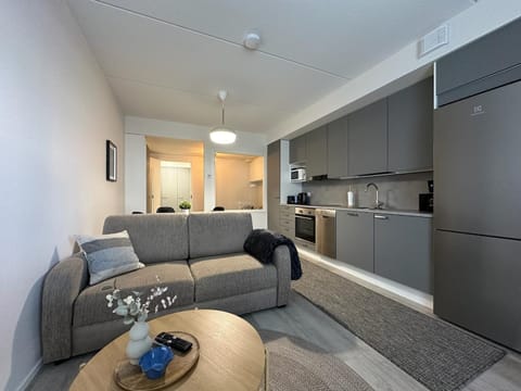 Kitchen or kitchenette, Living room