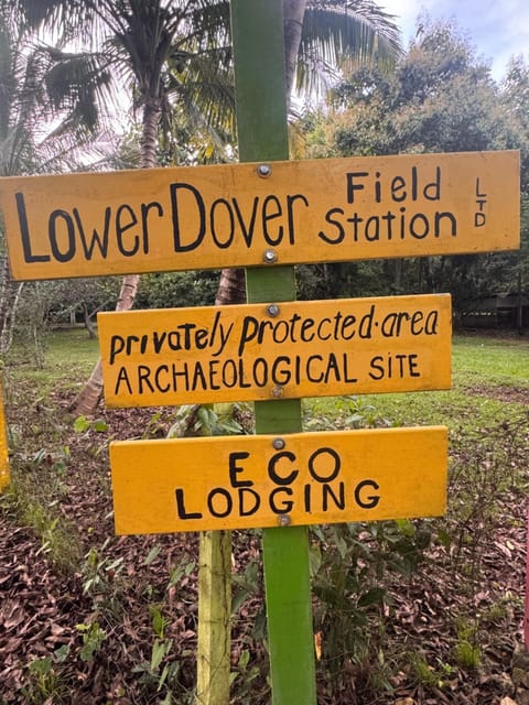 Property logo or sign, Street view