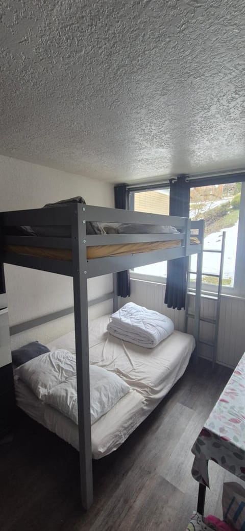 Résidence les grands horizon Apartment in Besse-et-Saint-Anastaise