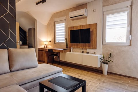 TV and multimedia, Living room, Seating area, air conditioner