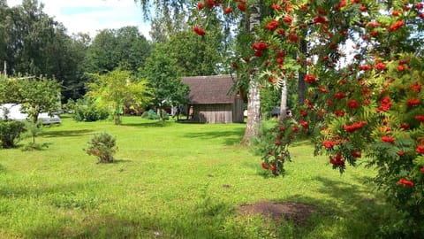 Natural landscape, Garden view