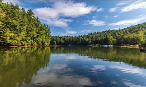 Lake view