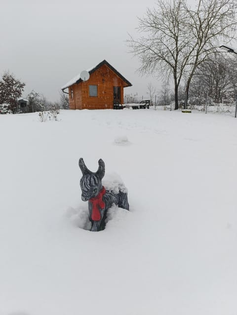 Vikendica Ajlin House in Lika-Senj County