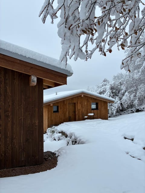 Chalets Hissala, vue lac et sauna Chalet in Xonrupt-Longemer