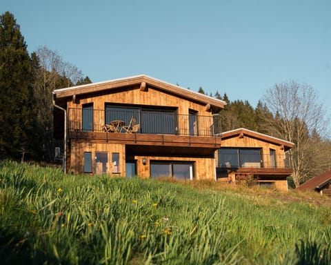 Chalets Hissala, vue lac et sauna Chalet in Xonrupt-Longemer