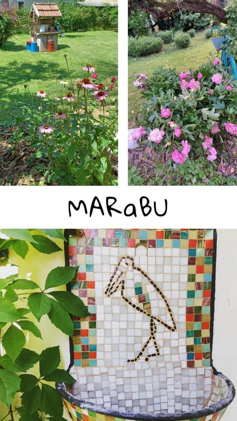 Text overlay, Garden view