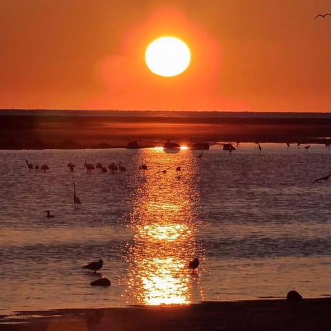 Beach, Sunrise