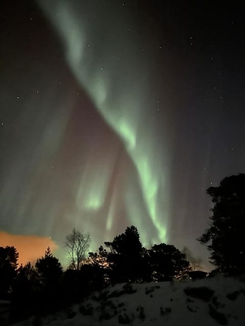 The gateway to Senja Apartment in Nordland, Norway