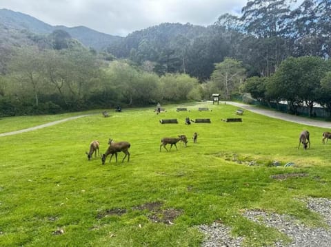 Spacious 5BR Coastal Retreat - 8 Beds Beach & Golf House in Pacifica